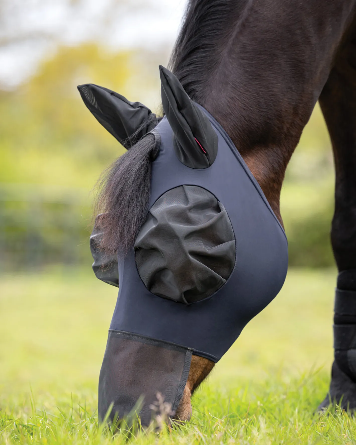 HORSE HEALTH TRADE LeMieux® Bug Relief Fly Mask