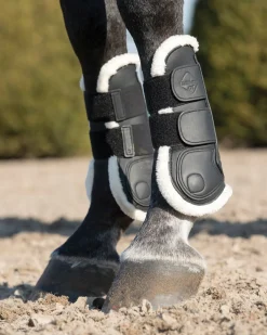 HORSE HEALTH TRADE LeMieux® Capella Comfort Tendon Boots