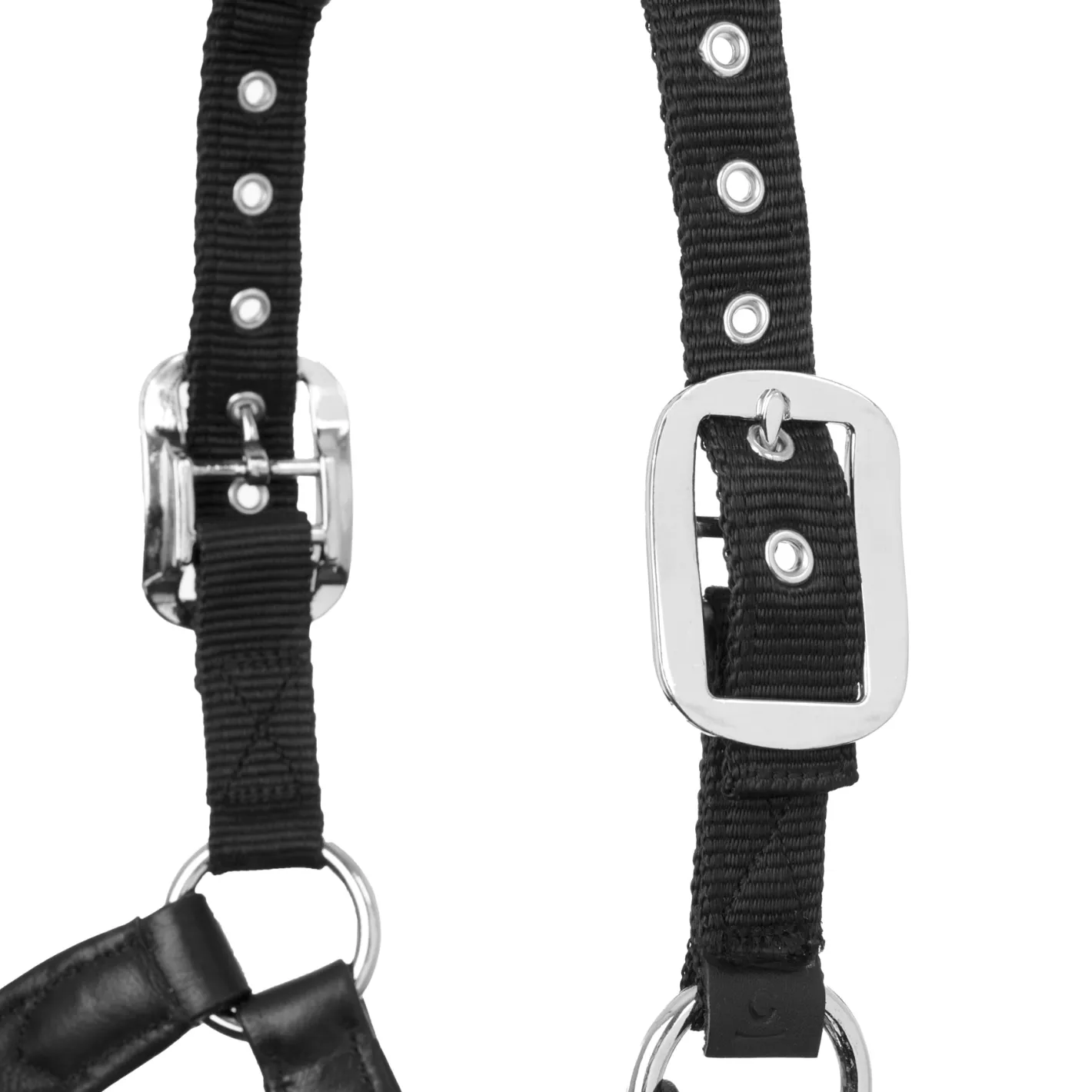 HORSE HEALTH TRADE LeMieux® Capella Halter