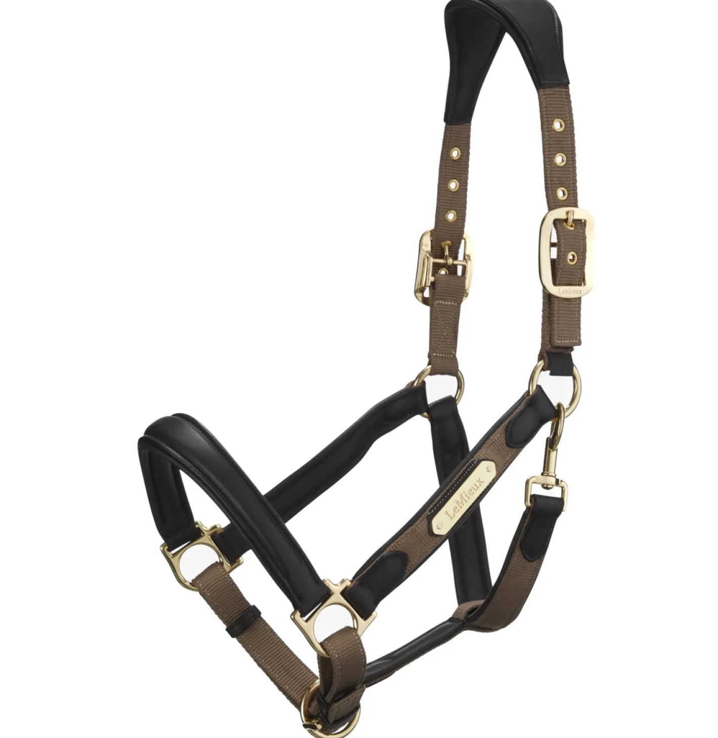 HORSE HEALTH TRADE LeMieux® Capella Headcollar