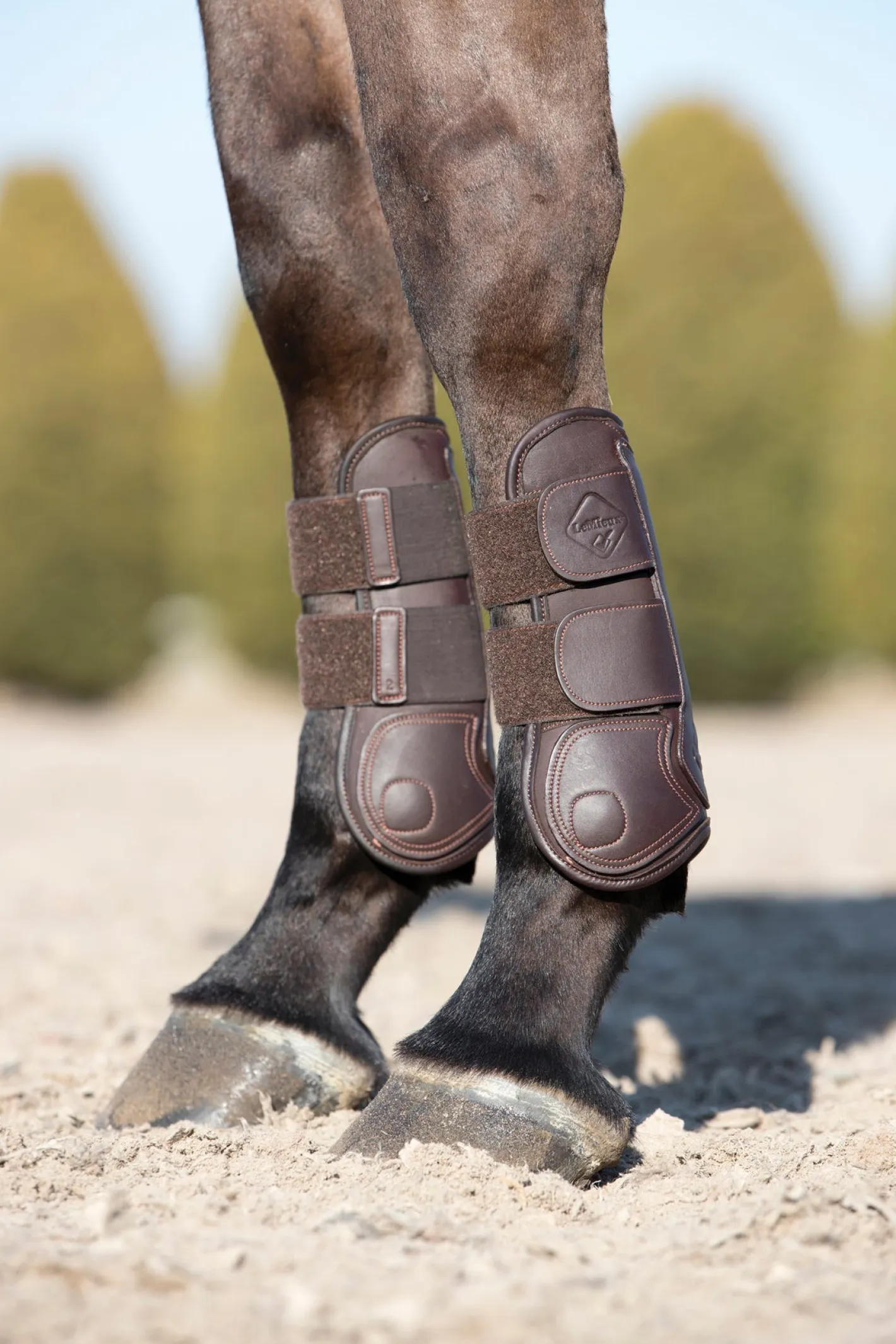 HORSE HEALTH TRADE LeMieux® Capella Tendon Boots