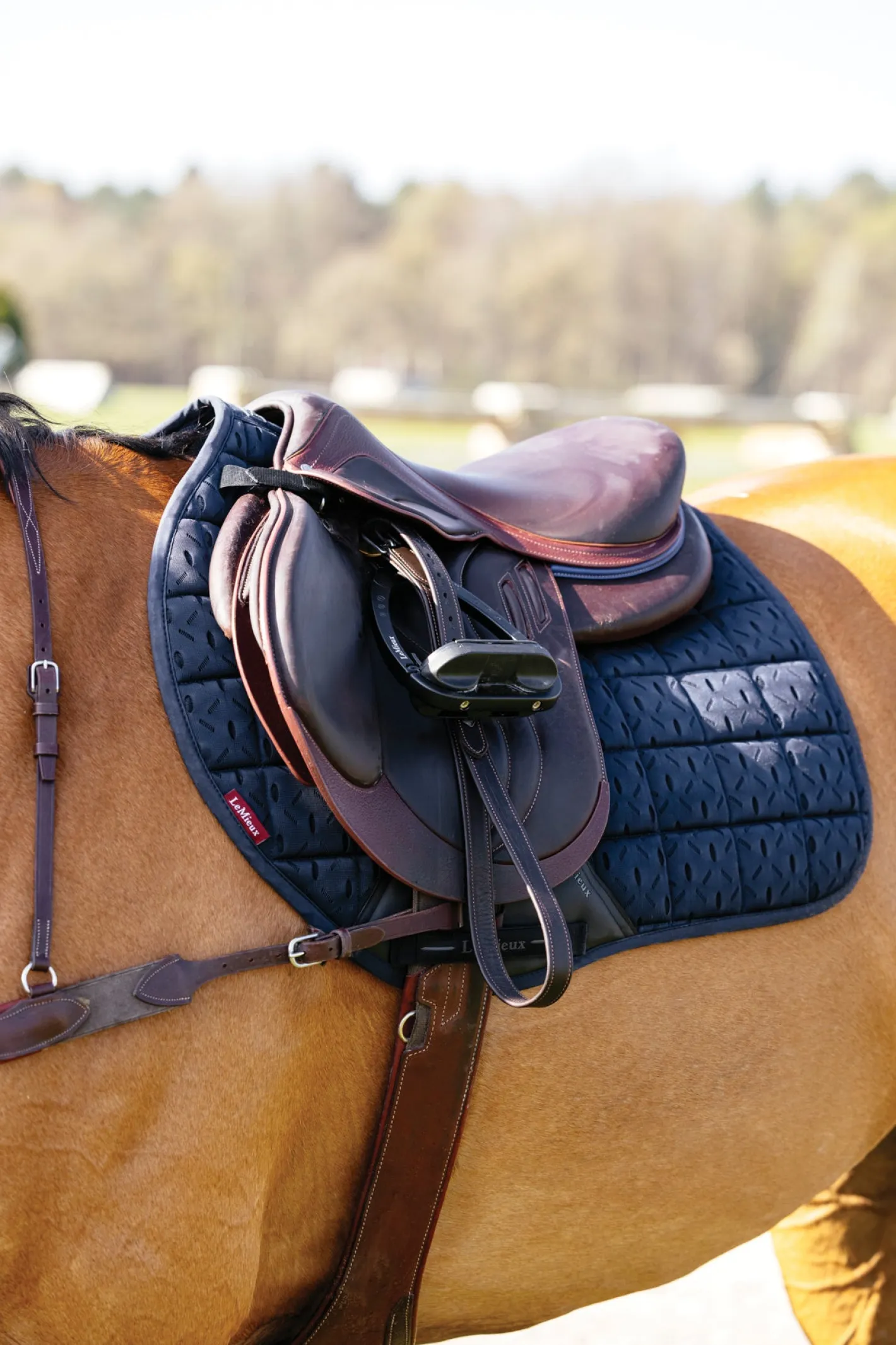 HORSE HEALTH TRADE LeMieux® 3D Mesh Self-Cool Eurojump Saddle Pad