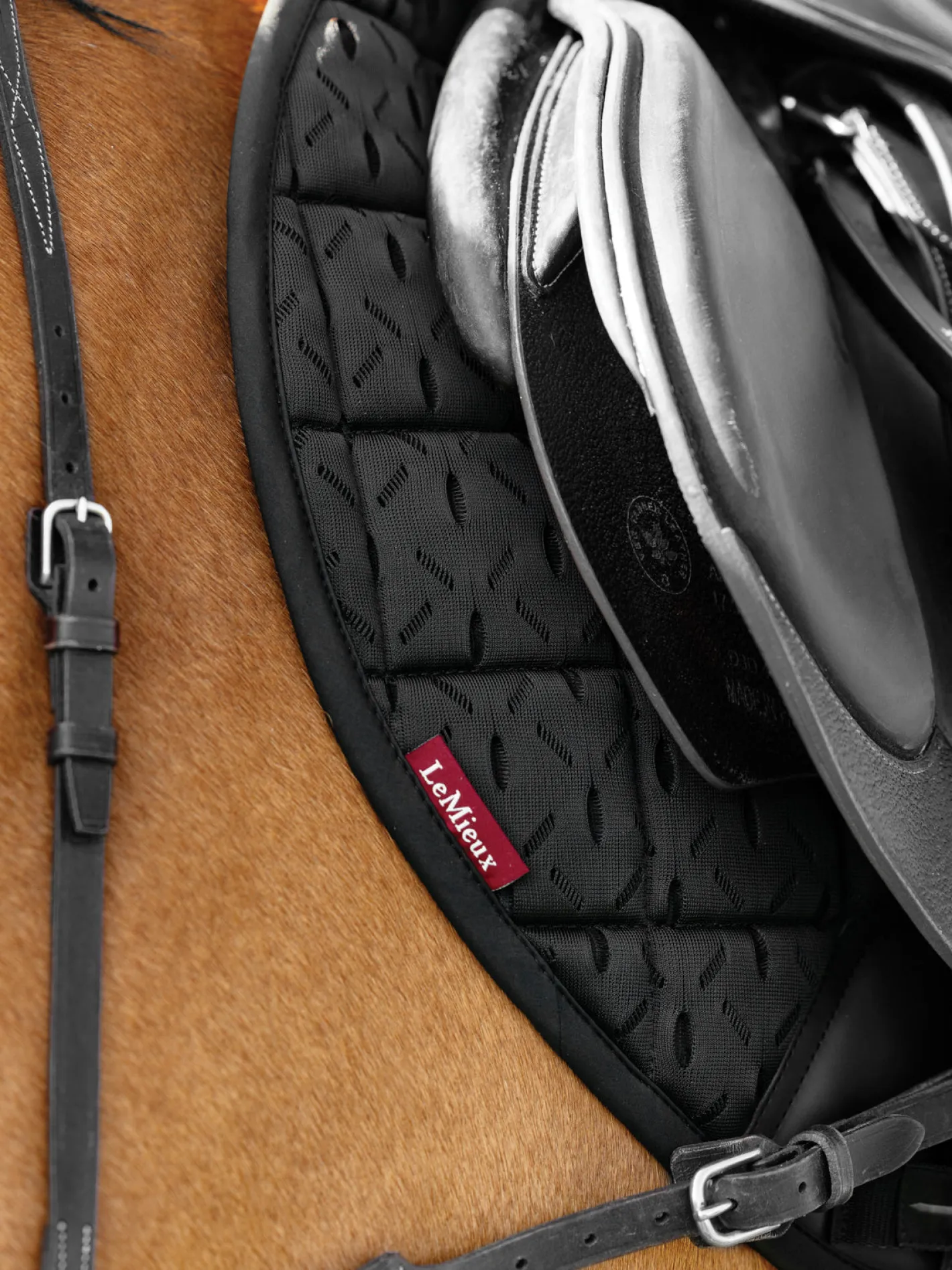 HORSE HEALTH TRADE LeMieux® 3D Mesh Self-Cool Eurojump Saddle Pad