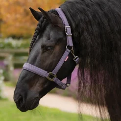 HORSE HEALTH TRADE LeMieux® Essence Halter