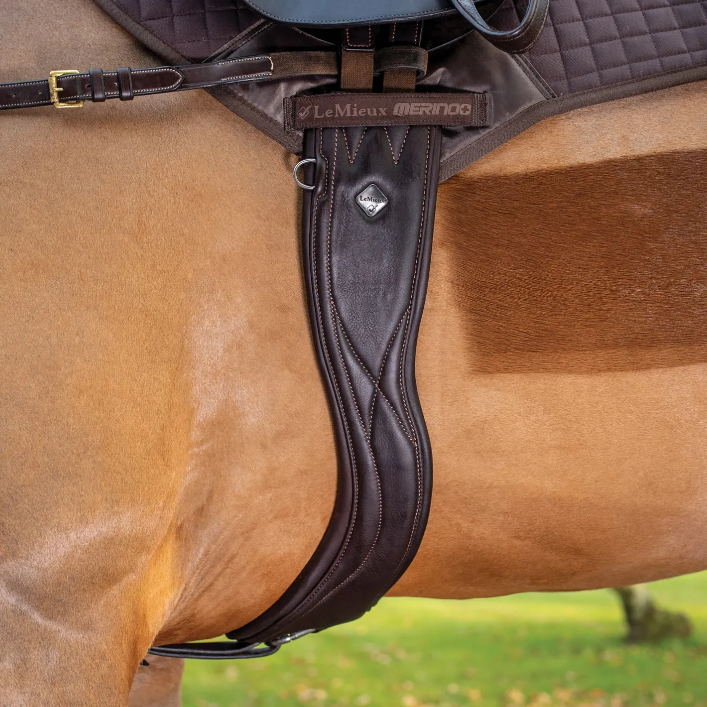 HORSE HEALTH TRADE LeMieux® Gel-Tek Anatomic Jumping Girth