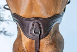HORSE HEALTH TRADE LeMieux® Gel-Tek Anatomic Jumping Girth