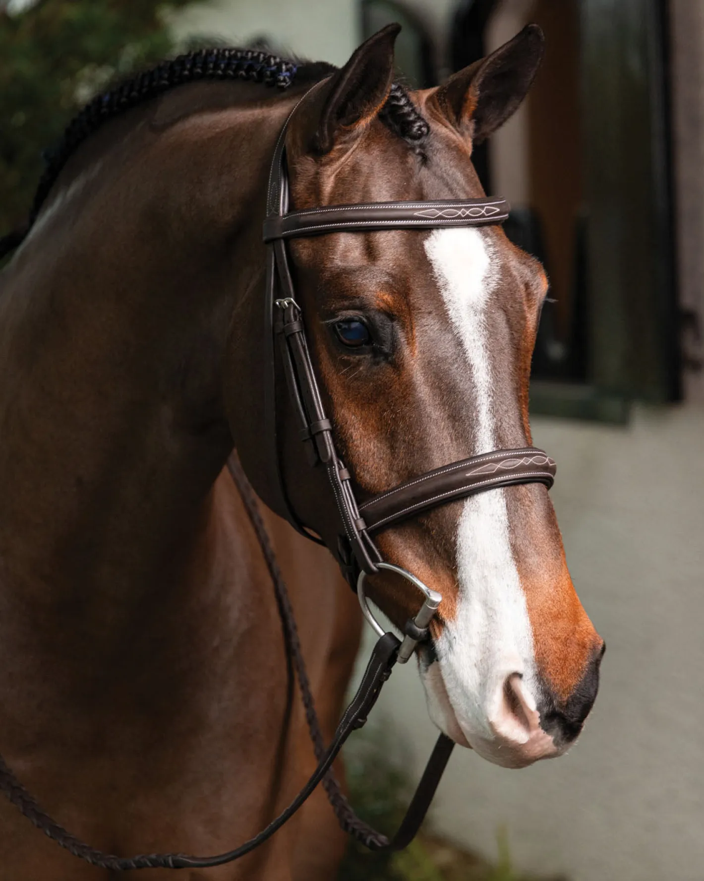 HORSE HEALTH TRADE LeMieux® Hunter-Stitched Bridle