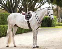 HORSE HEALTH TRADE LeMieux® Hunter-Stitched Bridle