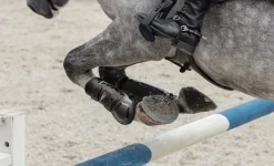 HORSE HEALTH TRADE LeMieux® Impact Responsive Tendon Boots