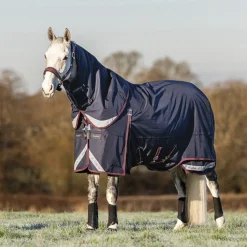 HORSE HEALTH TRADE LeMieux® Kudos 200 Gram Turnout Blanket with Leg Straps