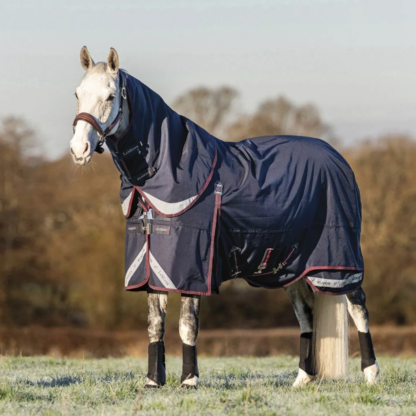 HORSE HEALTH TRADE LeMieux® Kudos 200 Gram Turnout Blanket with Leg Straps