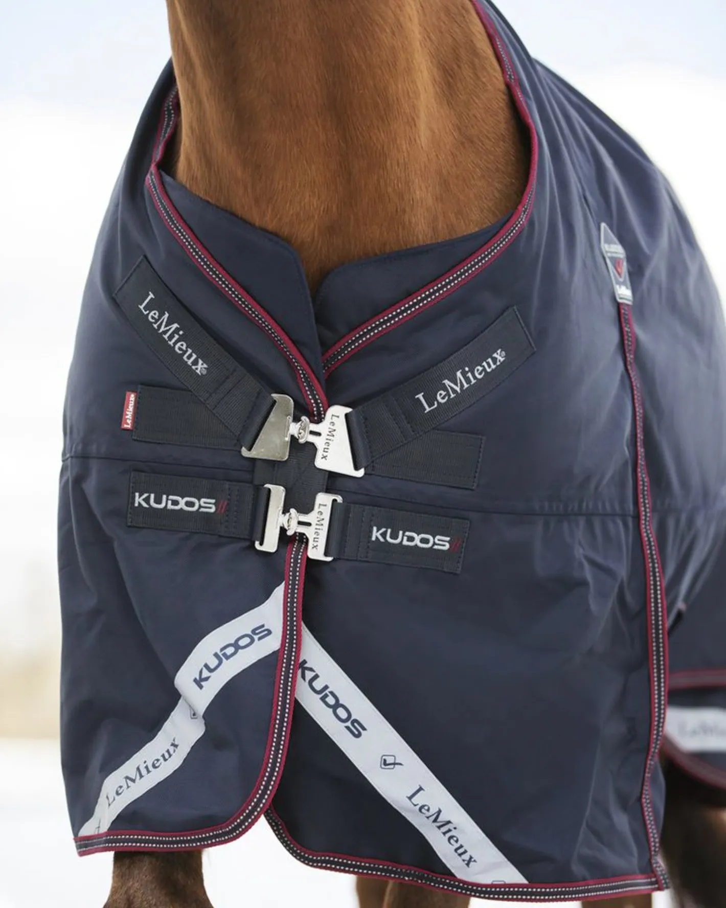 HORSE HEALTH TRADE LeMieux® Kudos 200 Gram Turnout Blanket with Leg Straps