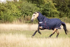 HORSE HEALTH TRADE LeMieux® Kudos 100 Gram Turnout Blanket