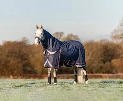 HORSE HEALTH TRADE LeMieux® Kudos 200 Gram Turnout Blanket