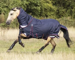 HORSE HEALTH TRADE LeMieux® Kudos 100 Gram Turnout Blanket with Leg Straps