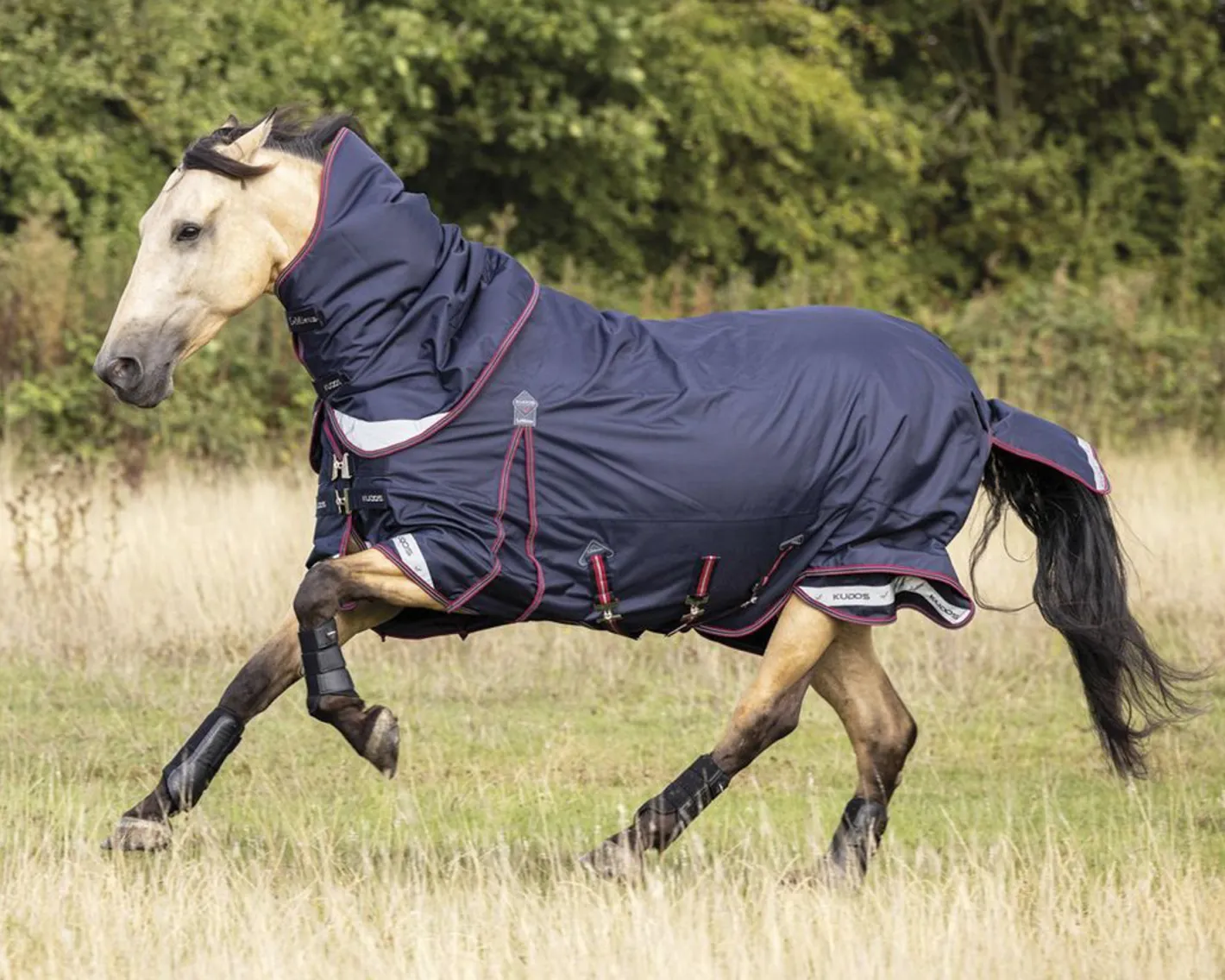 HORSE HEALTH TRADE LeMieux® Kudos 100 Gram Turnout Blanket with Leg Straps