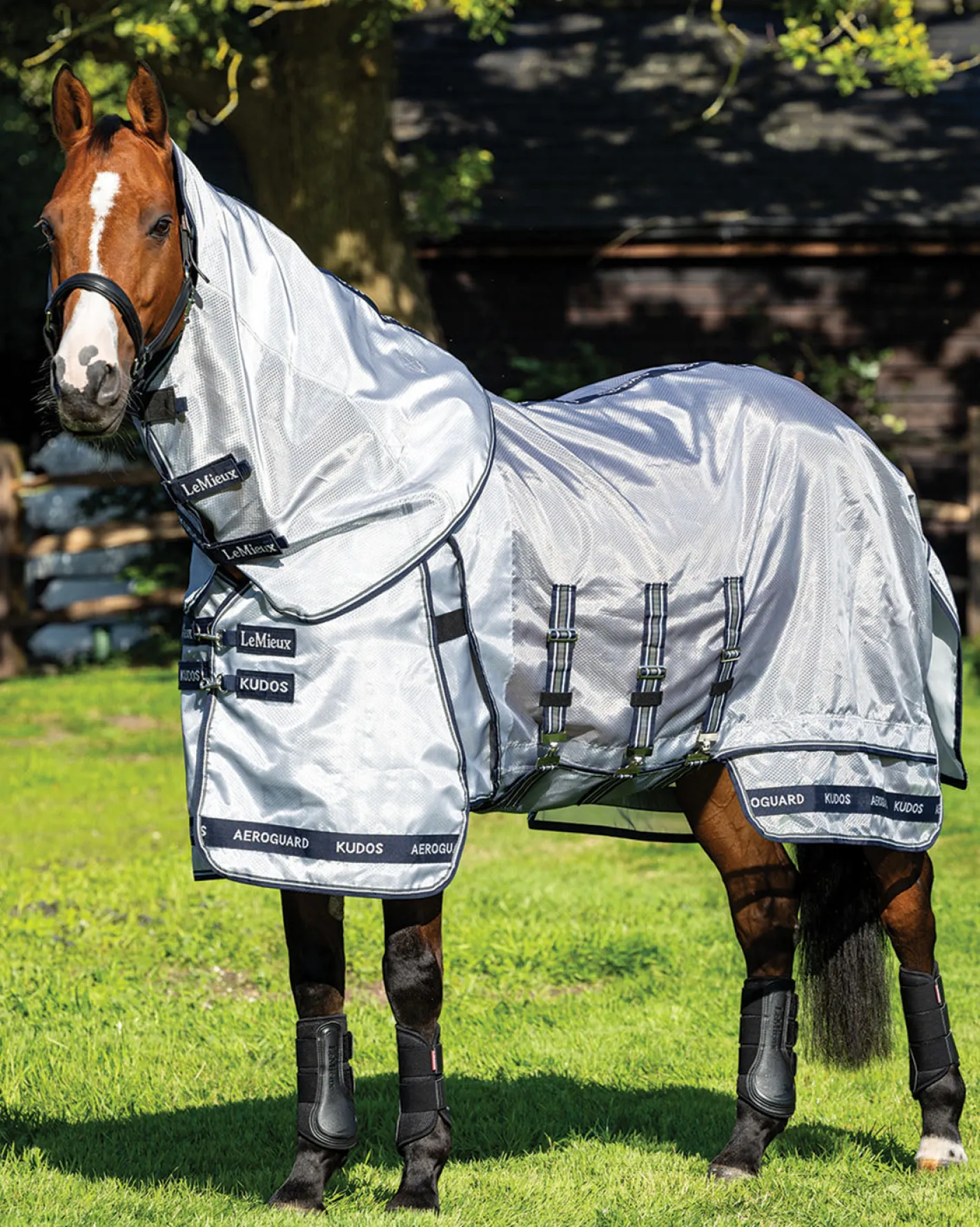 HORSE HEALTH TRADE LeMieux® Kudos AeroGuard Fly Sheet