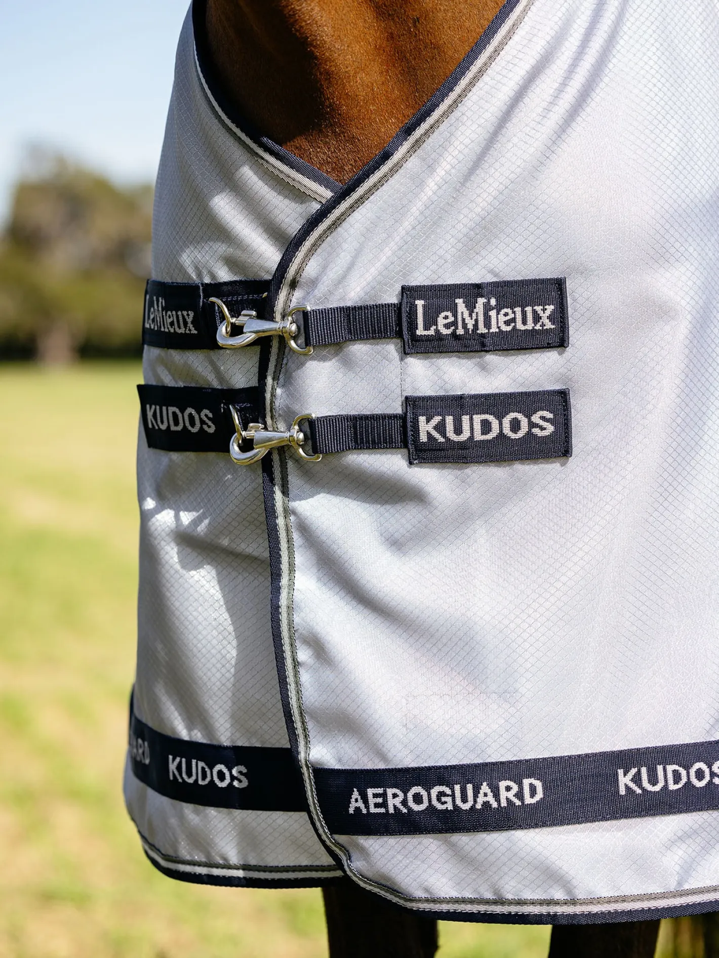 HORSE HEALTH TRADE LeMieux® Kudos AeroGuard Fly Sheet