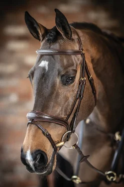 HORSE HEALTH TRADE LeMieux® Kudos Competition Flash Bridle