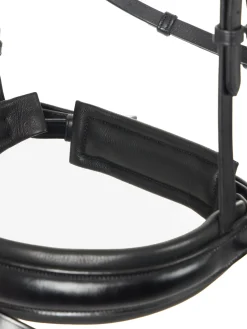HORSE HEALTH TRADE LeMieux® Kudos Dressage Flash Bridle