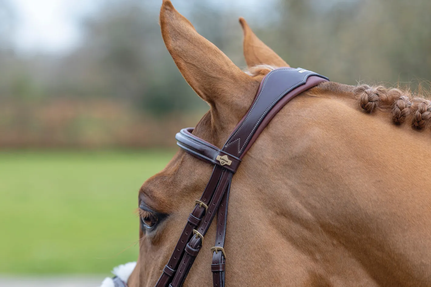 HORSE HEALTH TRADE LeMieux® Kudos Figure-8 Bridle