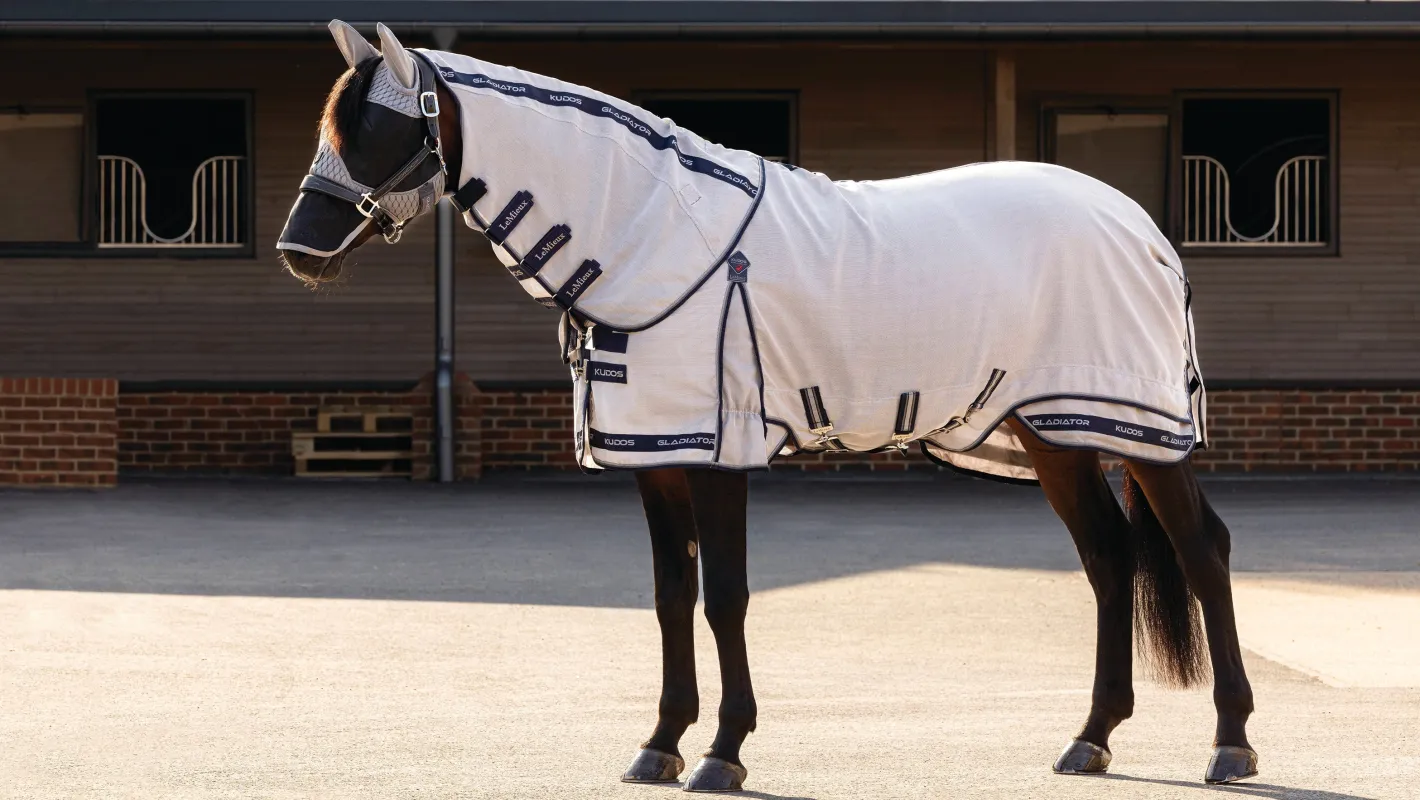 HORSE HEALTH TRADE LeMieux® Kudos Gladiator Fly Sheet