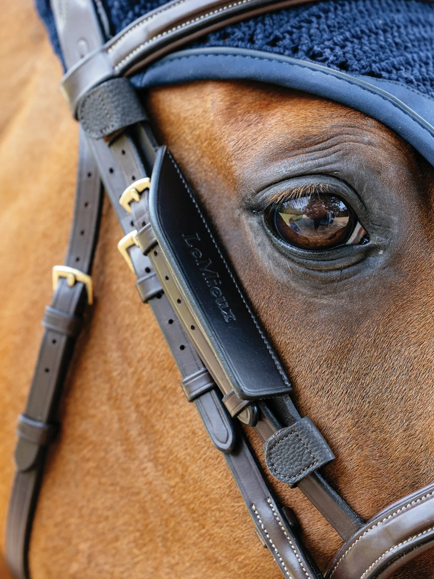 HORSE HEALTH TRADE LeMieux® Leather Bridle Blinkers