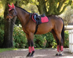 HORSE HEALTH TRADE LeMieux® Loire Classic Close Contact Saddle Pad