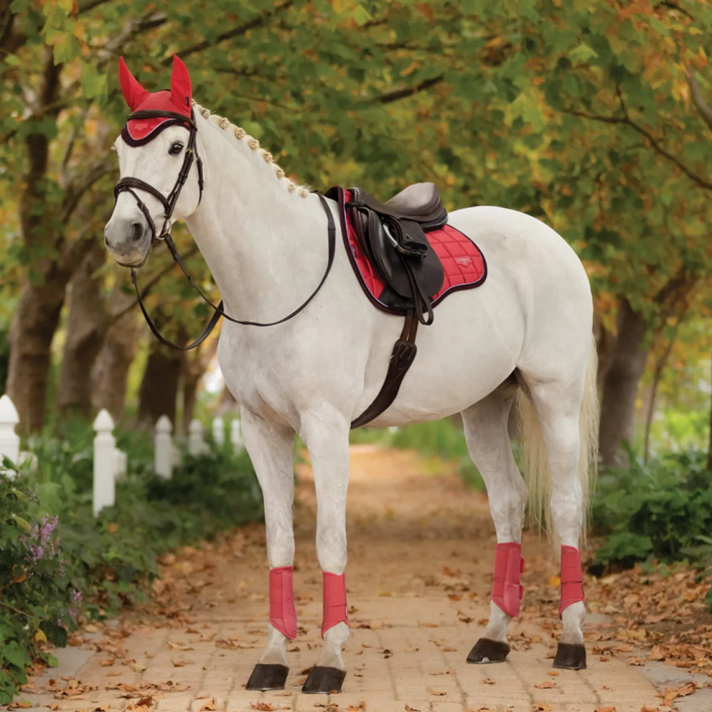 HORSE HEALTH TRADE LeMieux® Loire Classic GP Saddle Pad