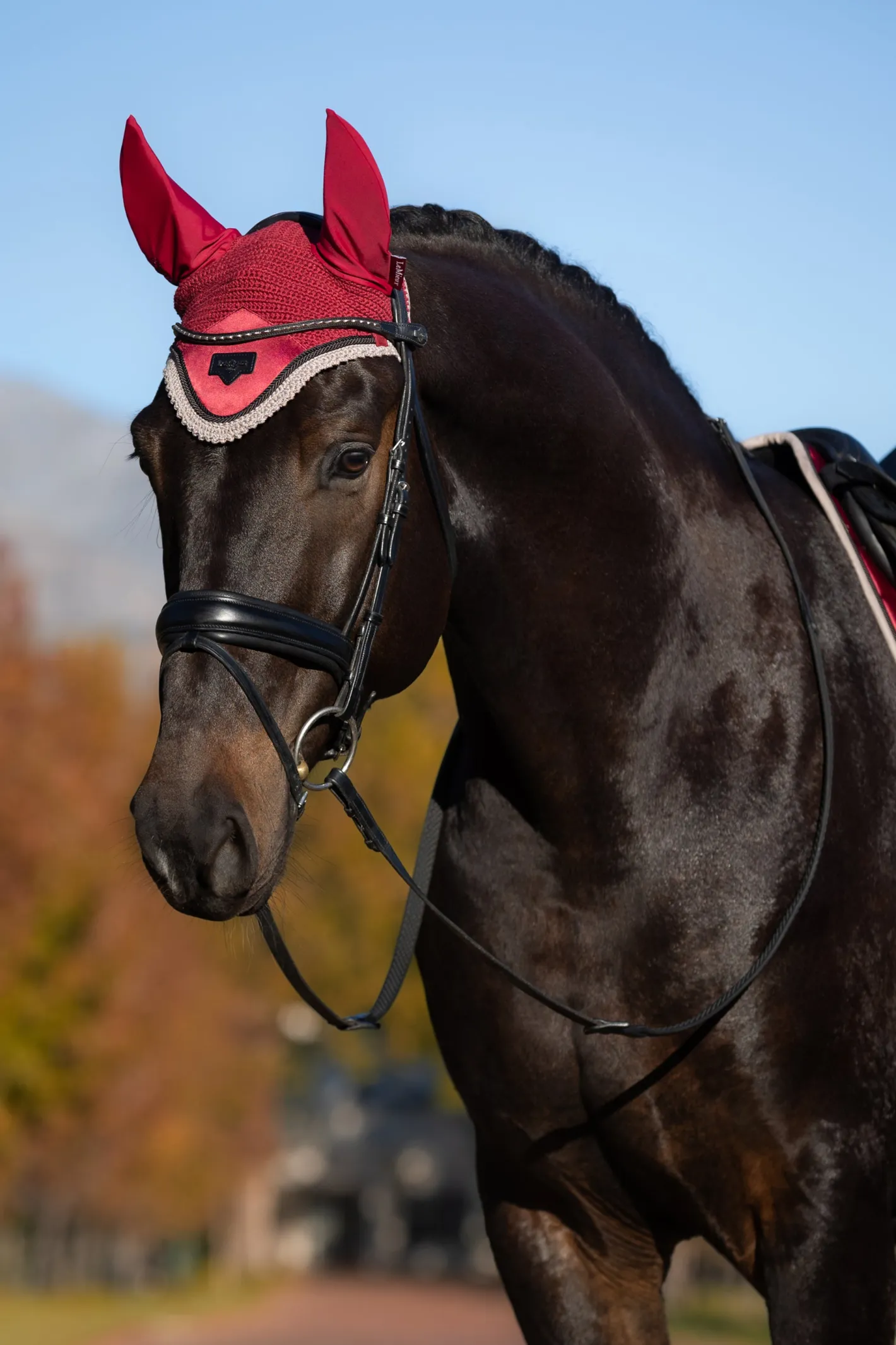 HORSE HEALTH TRADE LeMieux® Loire Fly Bonnet
