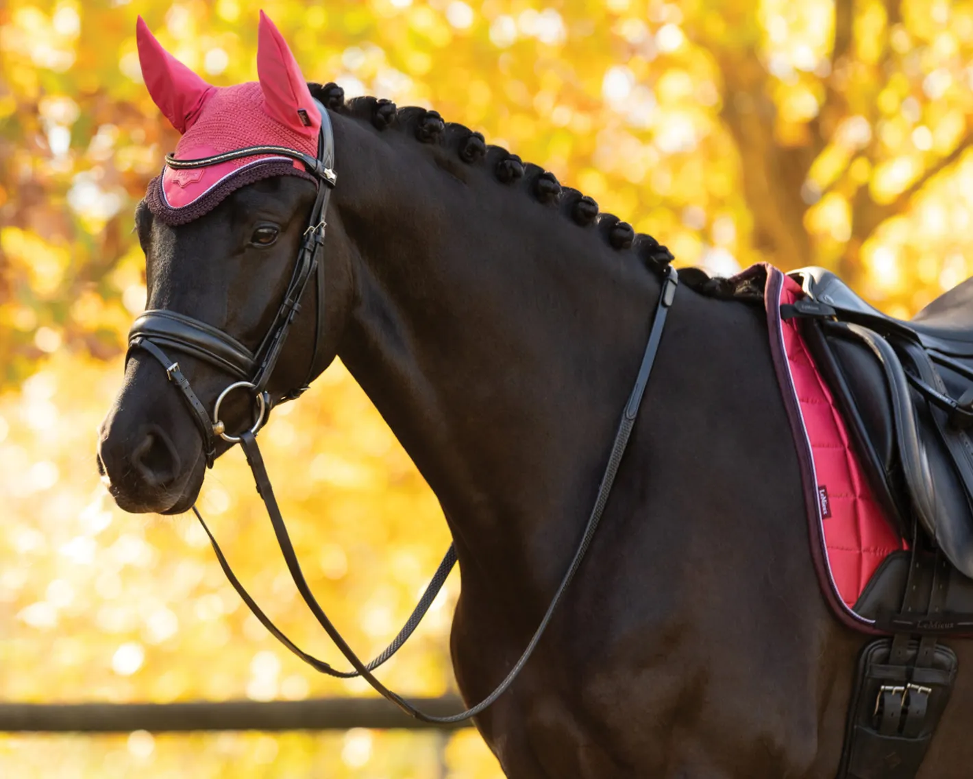 HORSE HEALTH TRADE LeMieux® Loire Fly Bonnet