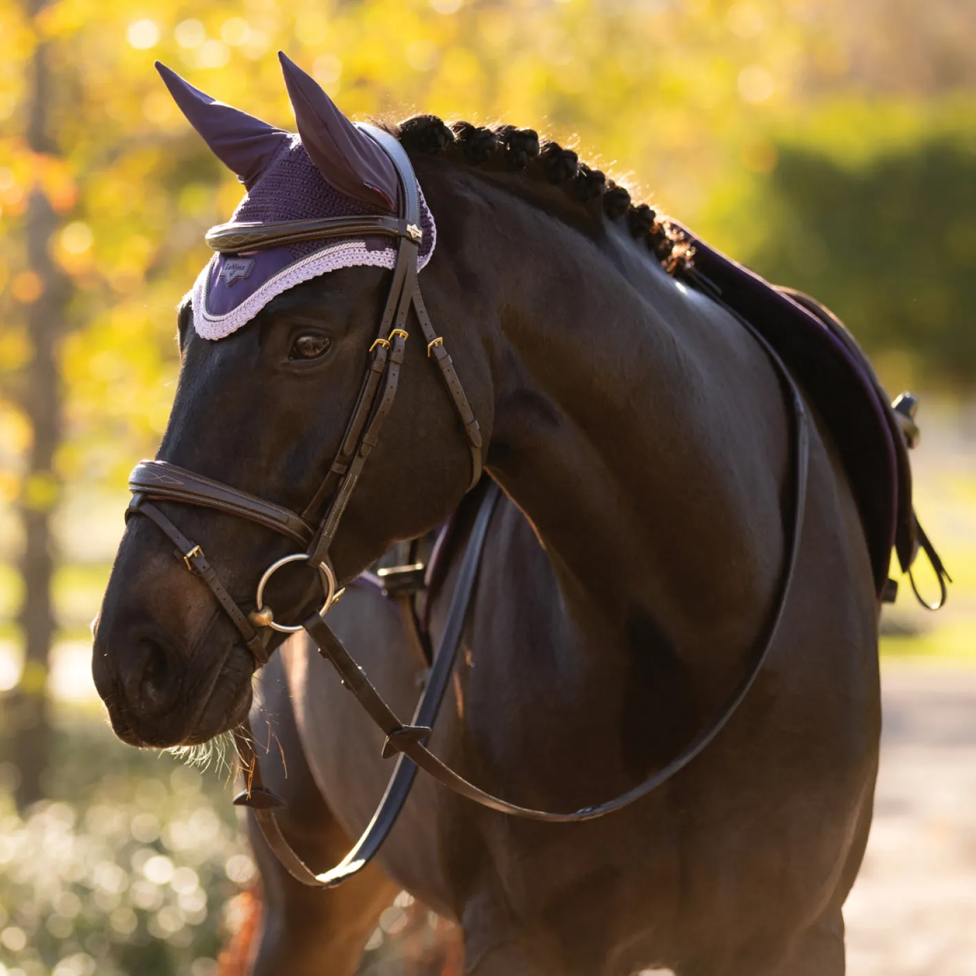 HORSE HEALTH TRADE LeMieux® Loire Fly Bonnet