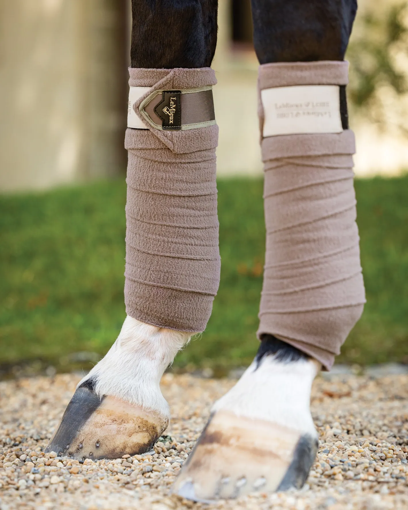 HORSE HEALTH TRADE LeMieux® Loire Polo Wraps