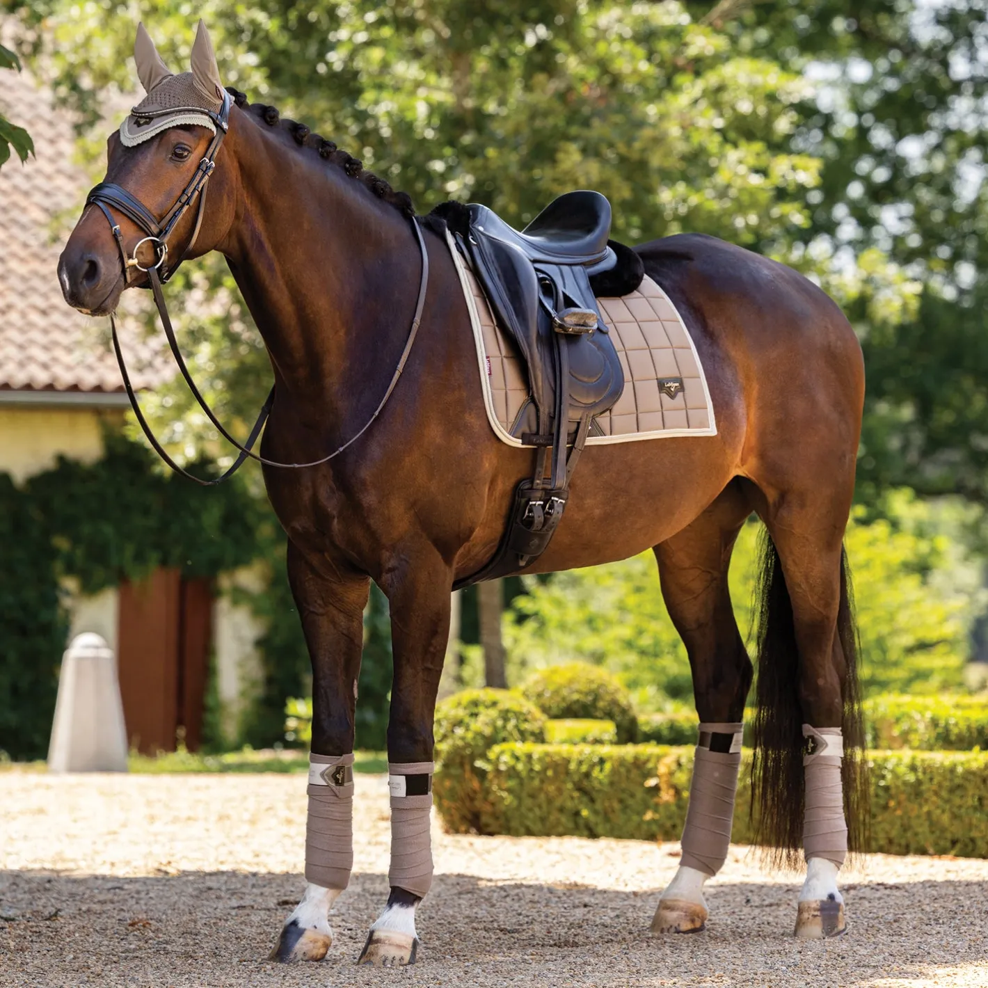 HORSE HEALTH TRADE LeMieux® Loire Polo Wraps