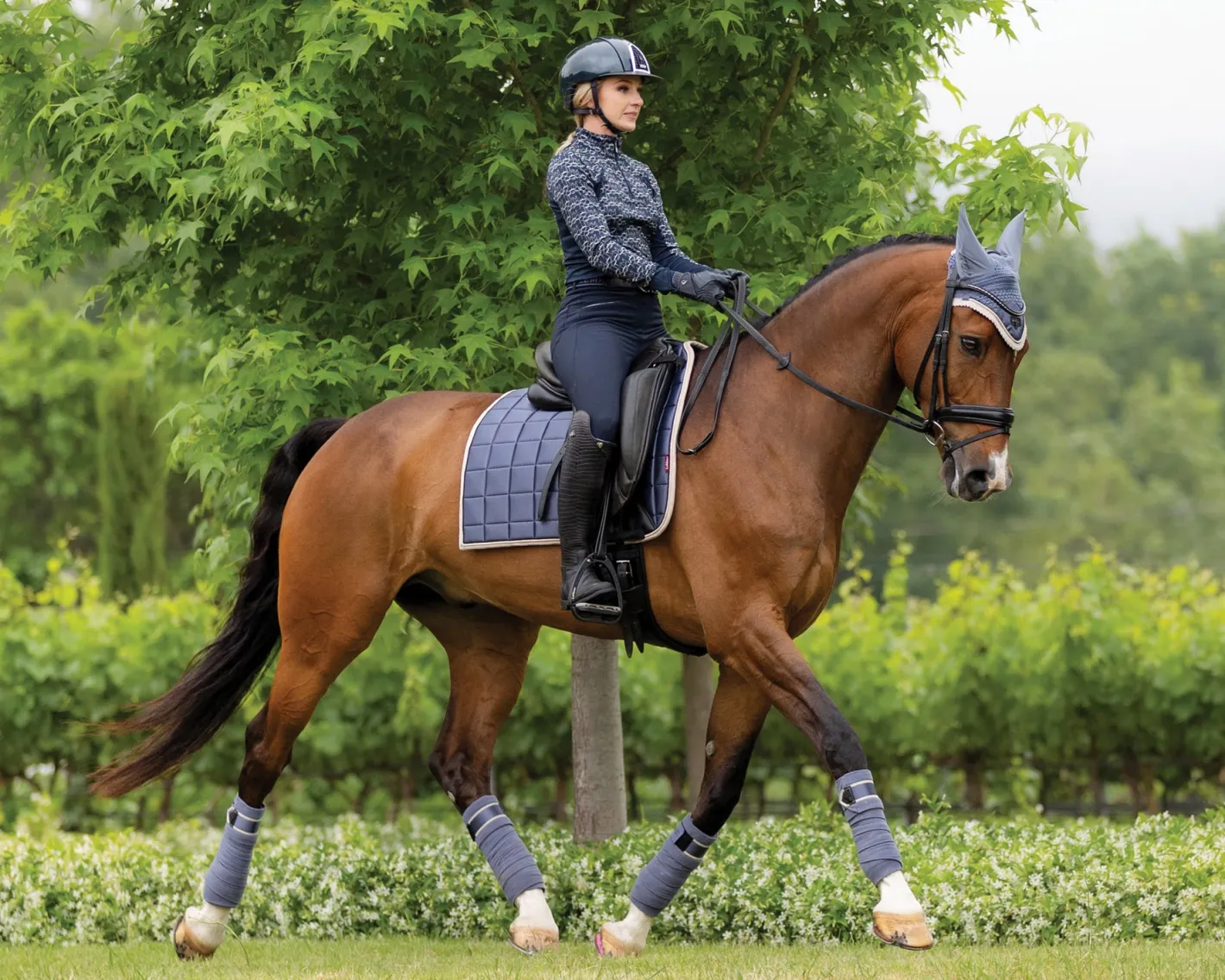 HORSE HEALTH TRADE LeMieux® Loire Polo Wraps