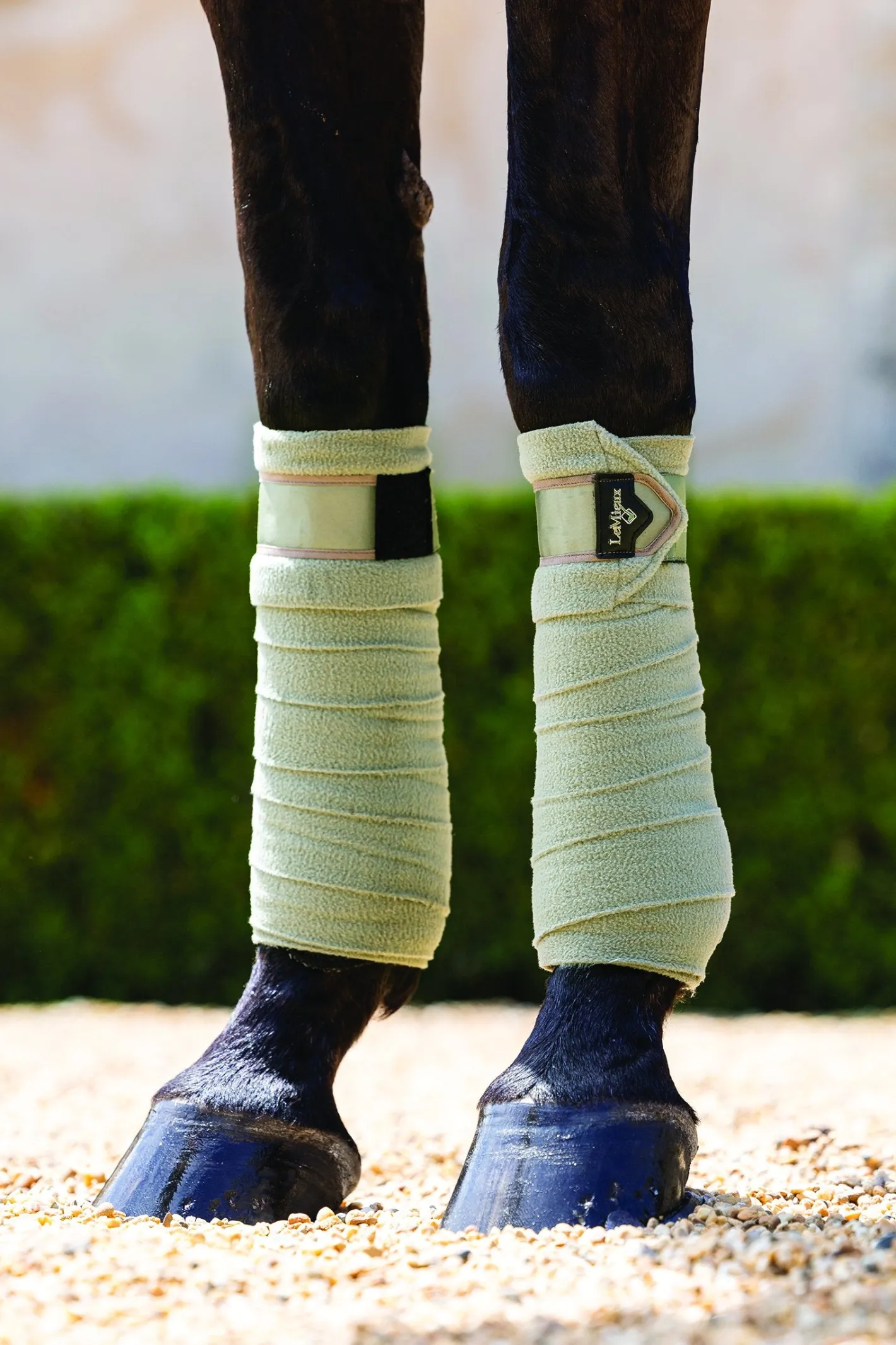 HORSE HEALTH TRADE LeMieux® Loire Polo Wraps