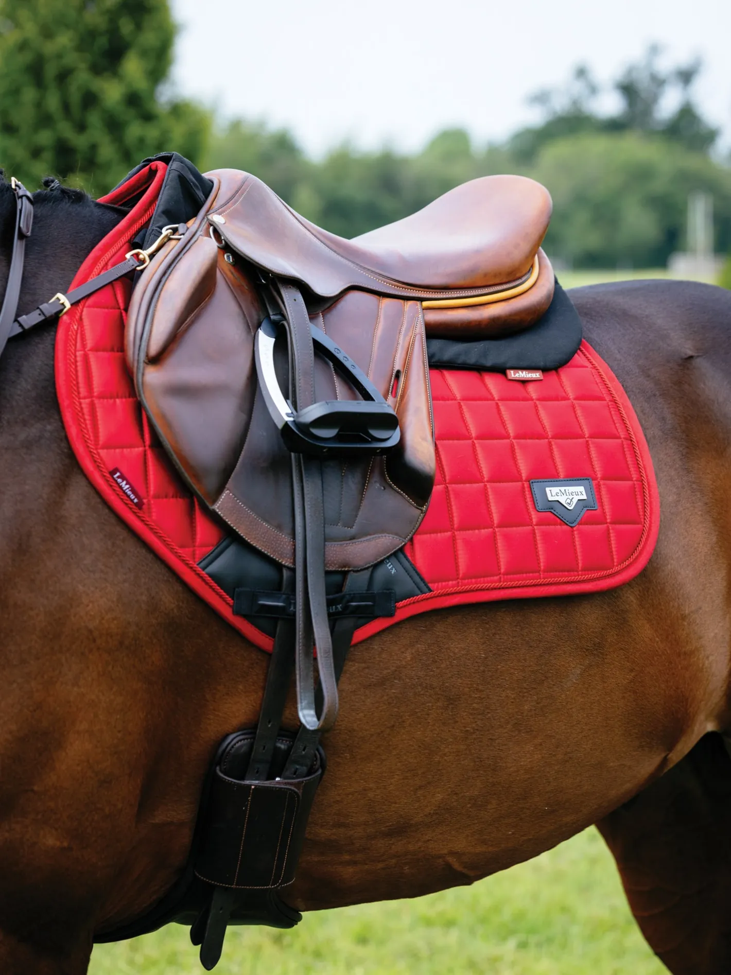 HORSE HEALTH TRADE LeMieux® Loire Satin Classic Close Contact Saddle Pad