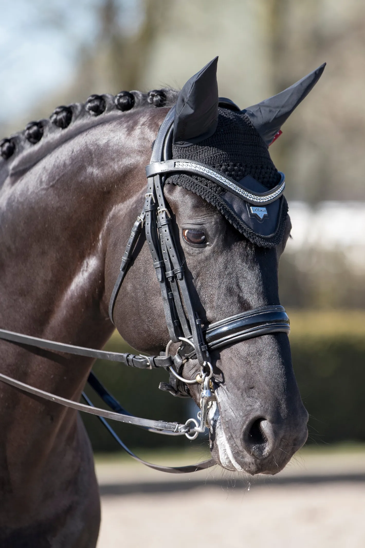 HORSE HEALTH TRADE LeMieux® Loire Satin Fly Bonnet