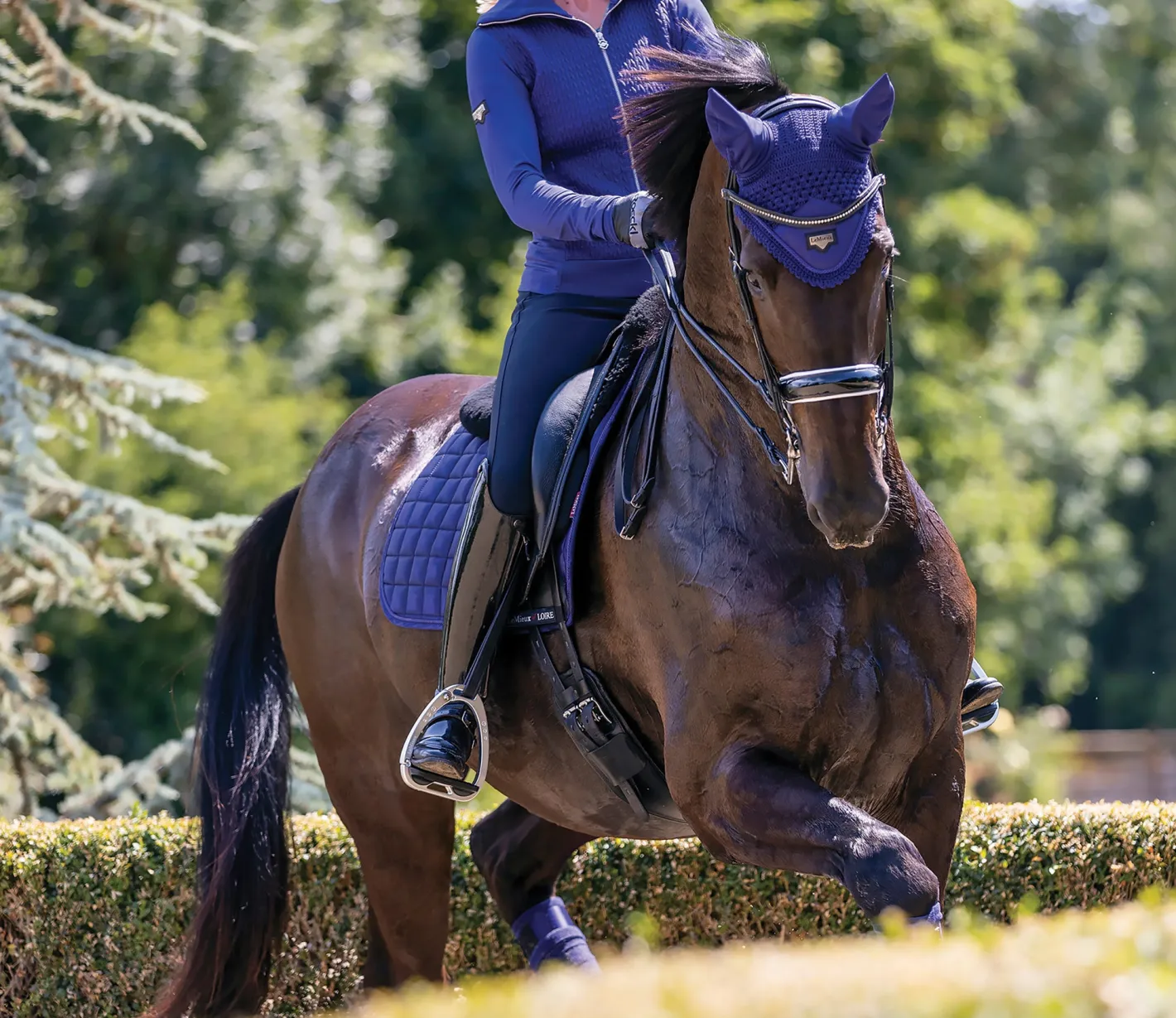 HORSE HEALTH TRADE LeMieux® Loire Satin Fly Bonnet