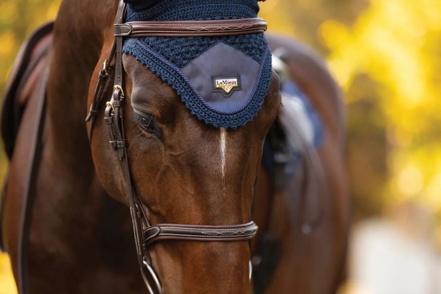 HORSE HEALTH TRADE LeMieux® Loire Satin Fly Bonnet