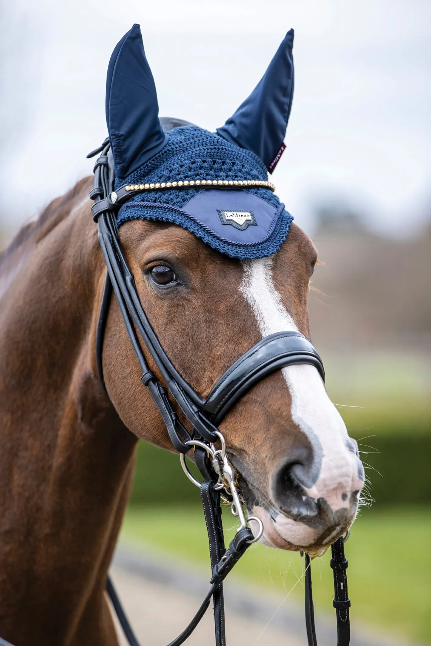 HORSE HEALTH TRADE LeMieux® Loire Satin Fly Bonnet