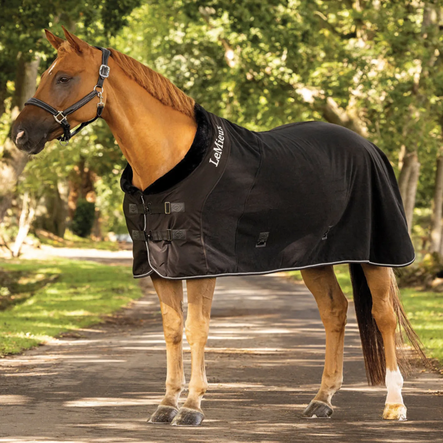 HORSE HEALTH TRADE LeMieux® Luxe Fleece Rug