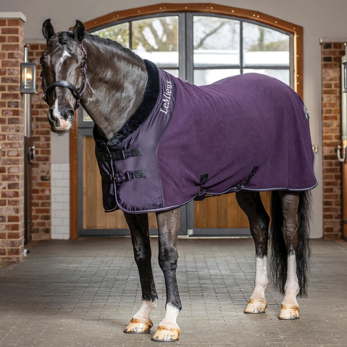 HORSE HEALTH TRADE LeMieux® Luxe Fleece Rug