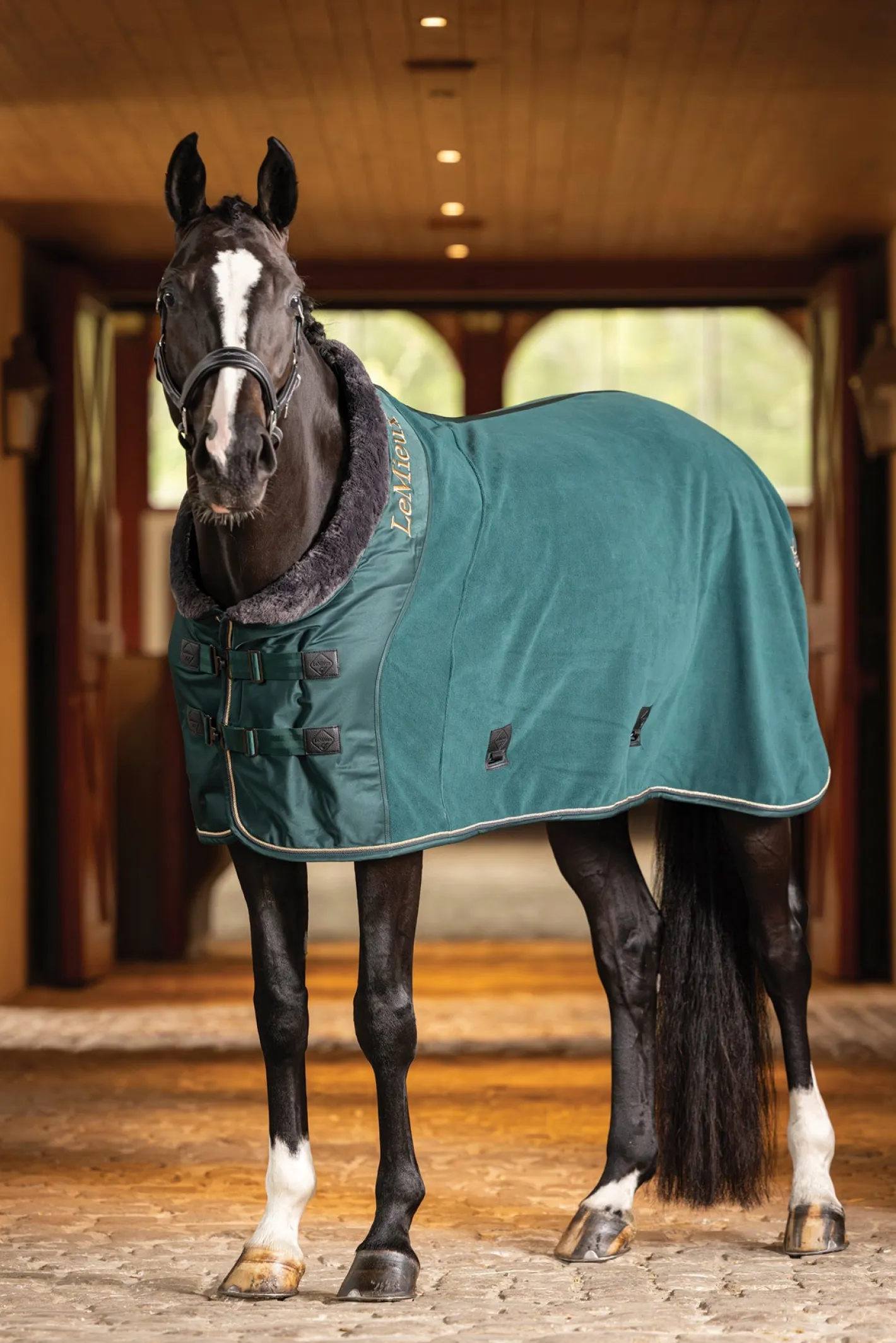 HORSE HEALTH TRADE LeMieux® Luxe Fleece Rug