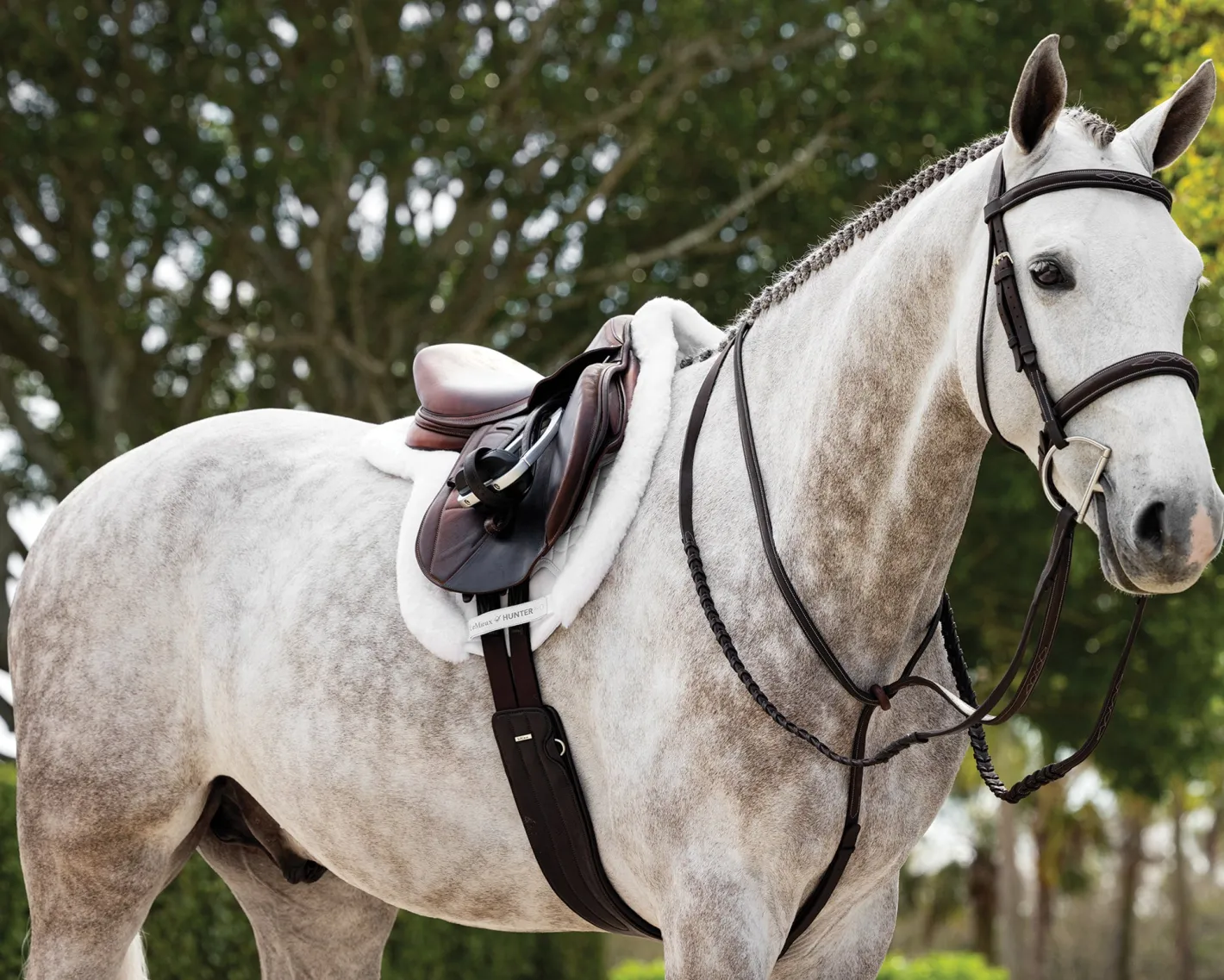 HORSE HEALTH TRADE LeMieux® Merino+ ProSorb Hunter Saddle Pad