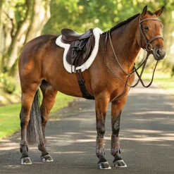 HORSE HEALTH TRADE LeMieux® Merino+ ProSorb Hunter Saddle Pad