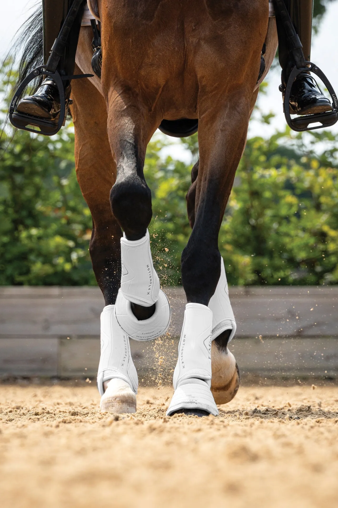HORSE HEALTH TRADE LeMieux® Motionflex Dressage Boots
