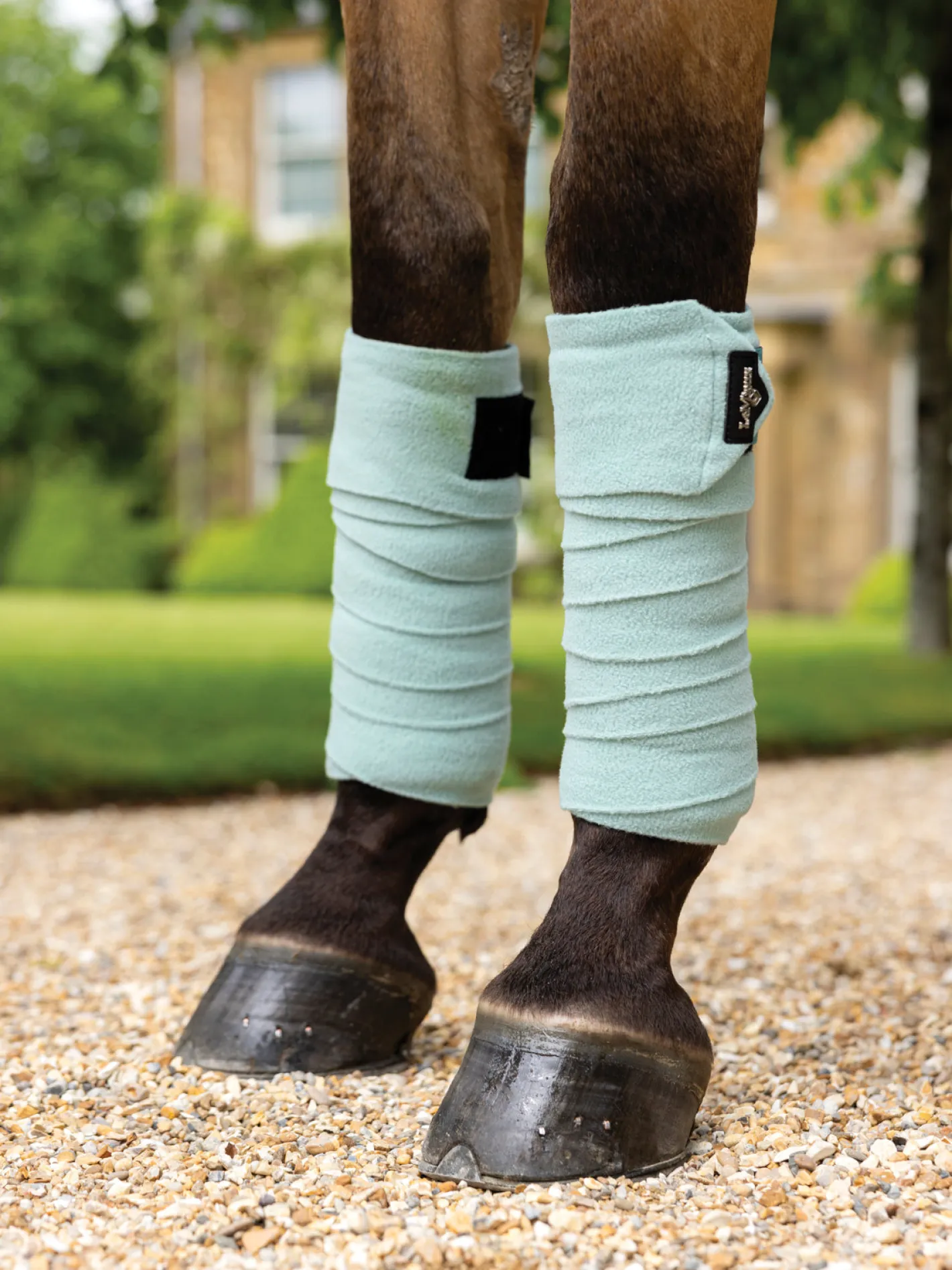 HORSE HEALTH TRADE LeMieux® Polo Wraps