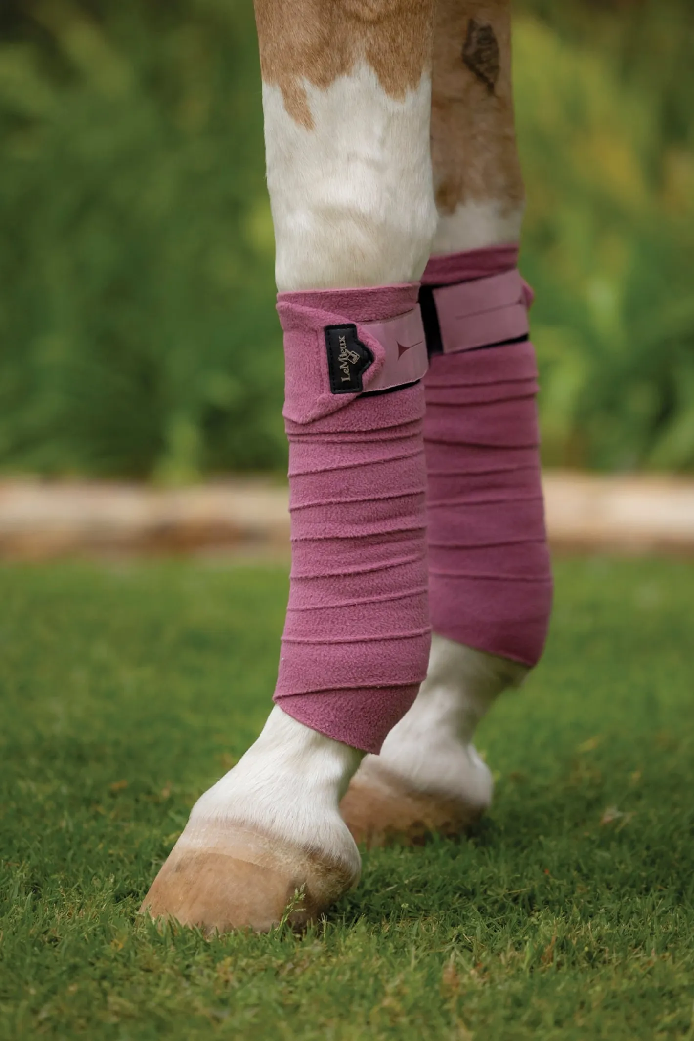 HORSE HEALTH TRADE LeMieux® Polo Wraps