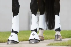 HORSE HEALTH TRADE LeMieux® Pro Schooling Boots